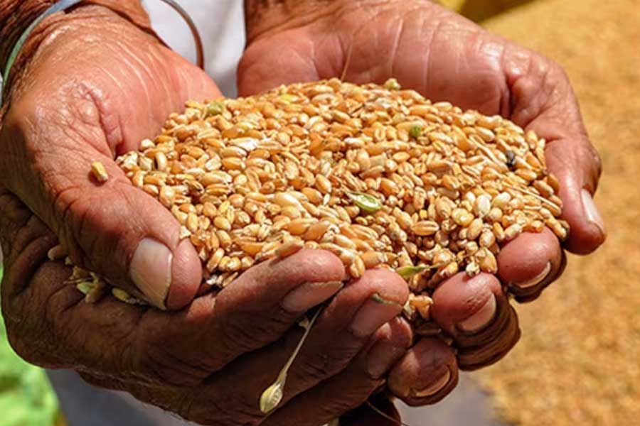 Ration fraud 28 percent of food grains never reached to beneficiaries government loss annually Rs 69000 crores 