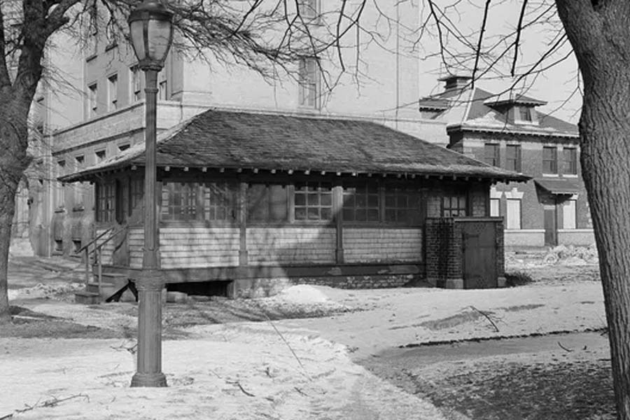 Typhoid Mary was a cook who was believed to have infected hundreds of America with typhoid fever