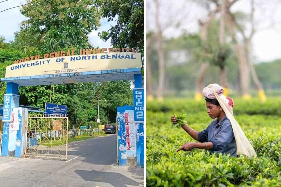 North Bengal University.