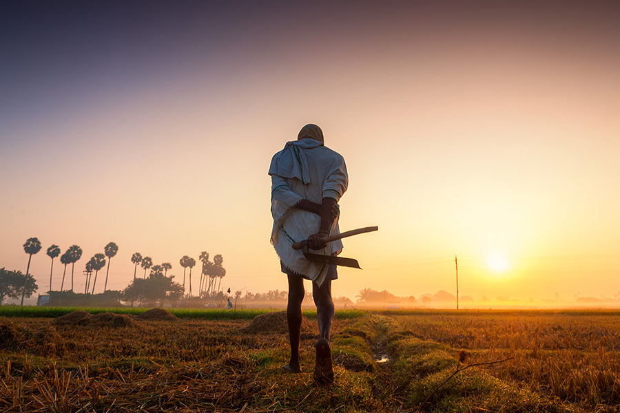 Farmer suicides in Vidarbha of Maharashtra know the shocking facts dgtl