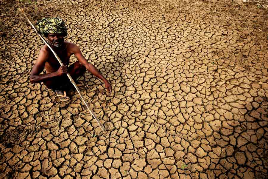 Farmer suicides in Vidarbha of Maharashtra know the shocking facts dgtl