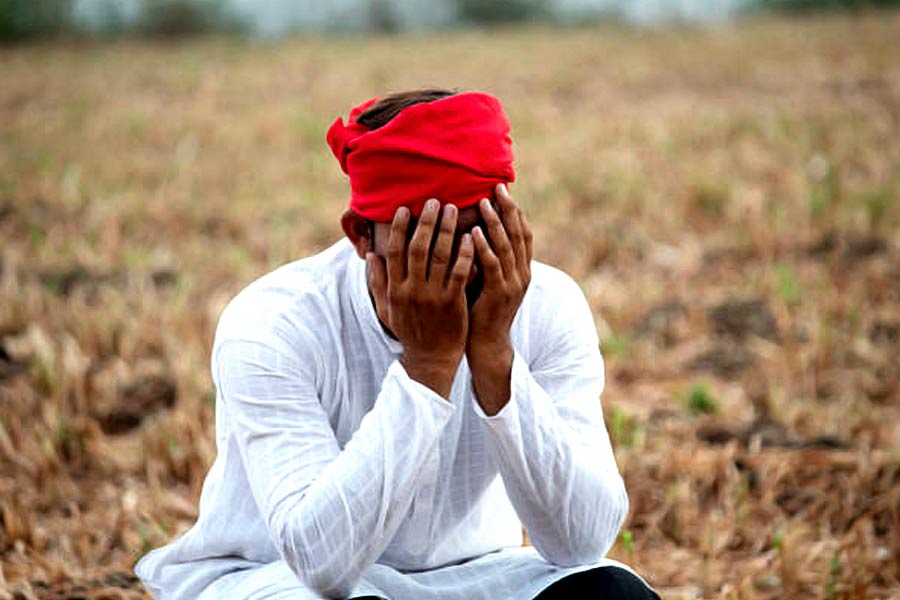 Farmer suicides in Vidarbha of Maharashtra know the shocking facts dgtl