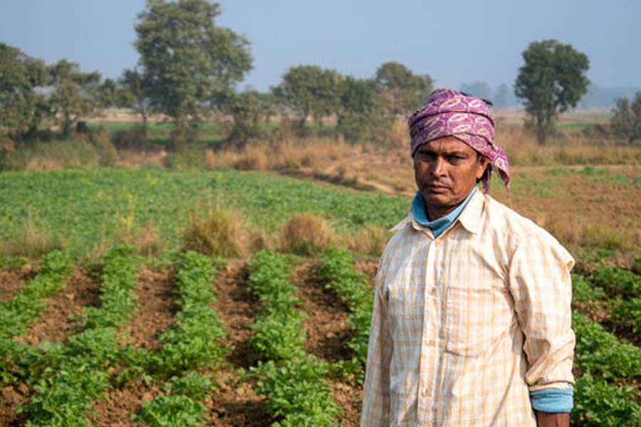 Farmer suicides in Vidarbha of Maharashtra know the shocking facts dgtl