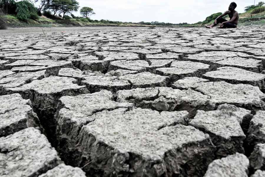 Farmer suicides in Vidarbha of Maharashtra know the shocking facts dgtl