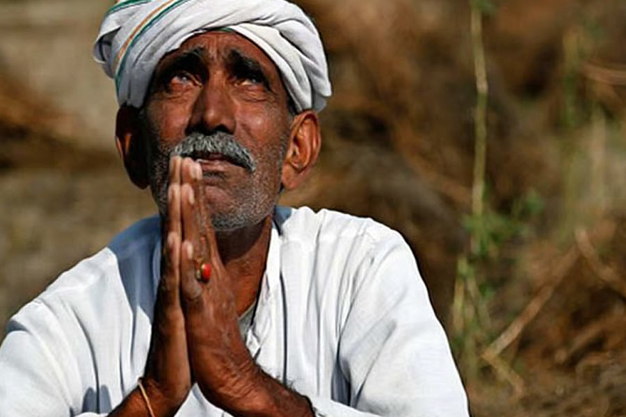 Farmer suicides in Vidarbha of Maharashtra know the shocking facts dgtl