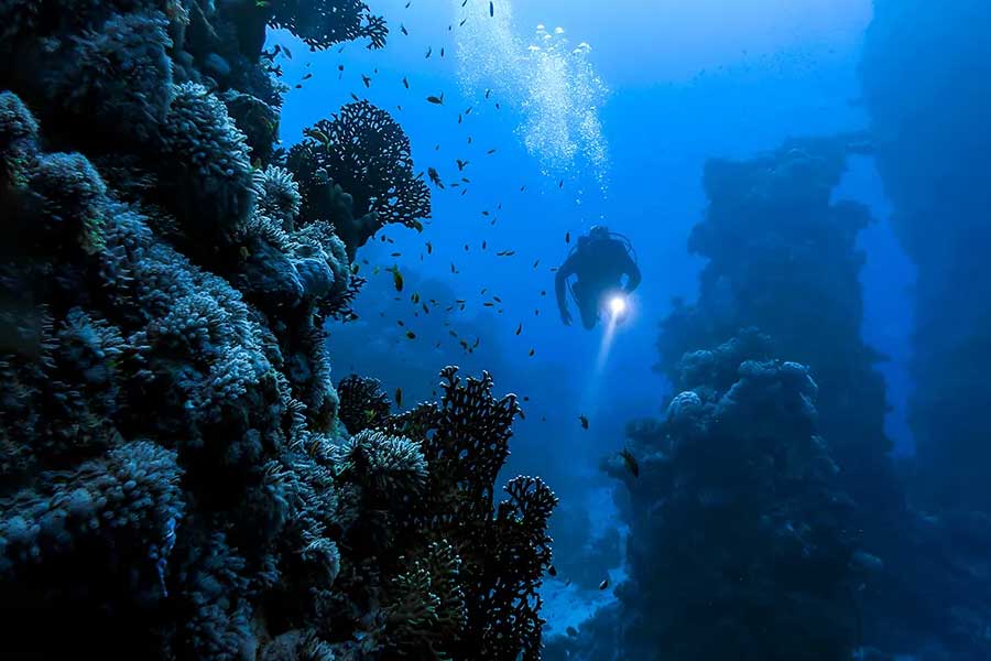 Mass extinction through ocean flood theory why CIA is hiding end of human civilization dates 