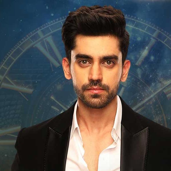 From Vivian Dsena to Shilpa Shirodkar, know the amount of property of Bigg Boss 18 contestants 