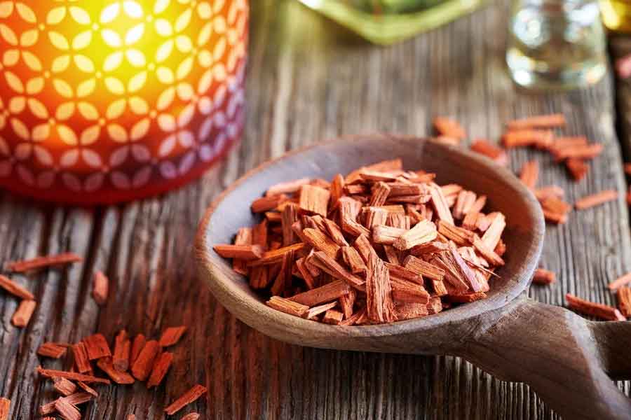 Why red sandalwood is so valuable and rare
