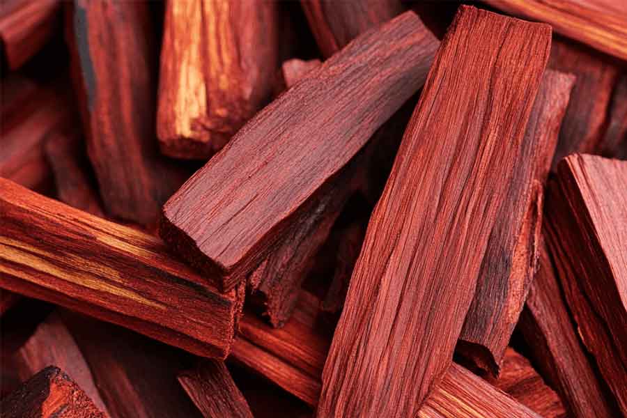 Why red sandalwood is so valuable and rare