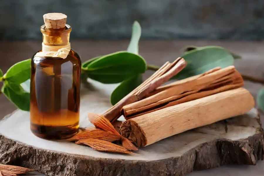 Why red sandalwood is so valuable and rare