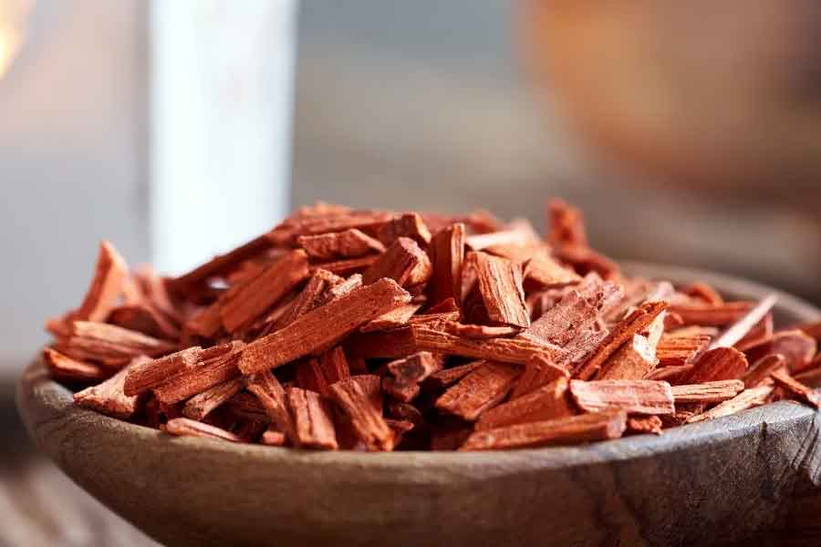 Why red sandalwood is so valuable and rare