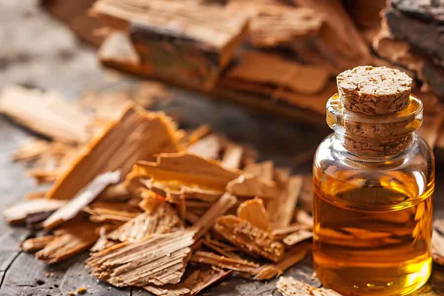 Why red sandalwood is so valuable and rare