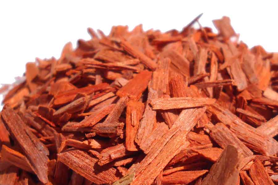 Why red sandalwood is so valuable and rare