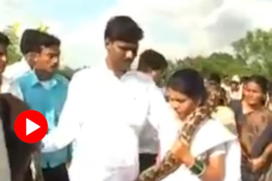 Instead of garland, groom puts python snake around the neck of bride, video goes viral