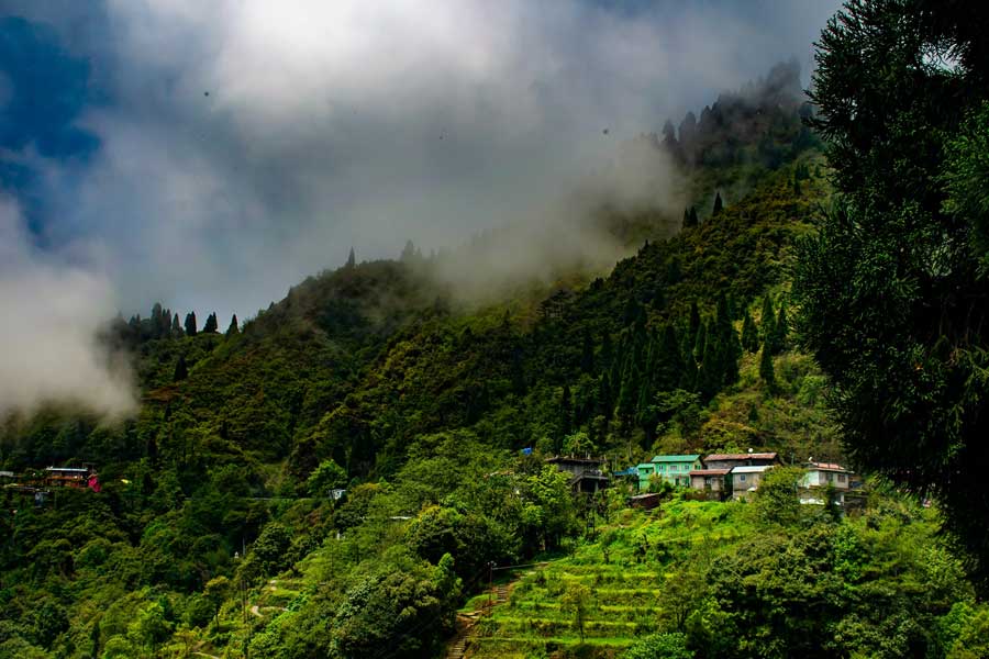  মাইরুংগাঁও  ভুলিয়ে দিতে পারে শহুরে ক্লান্তি।