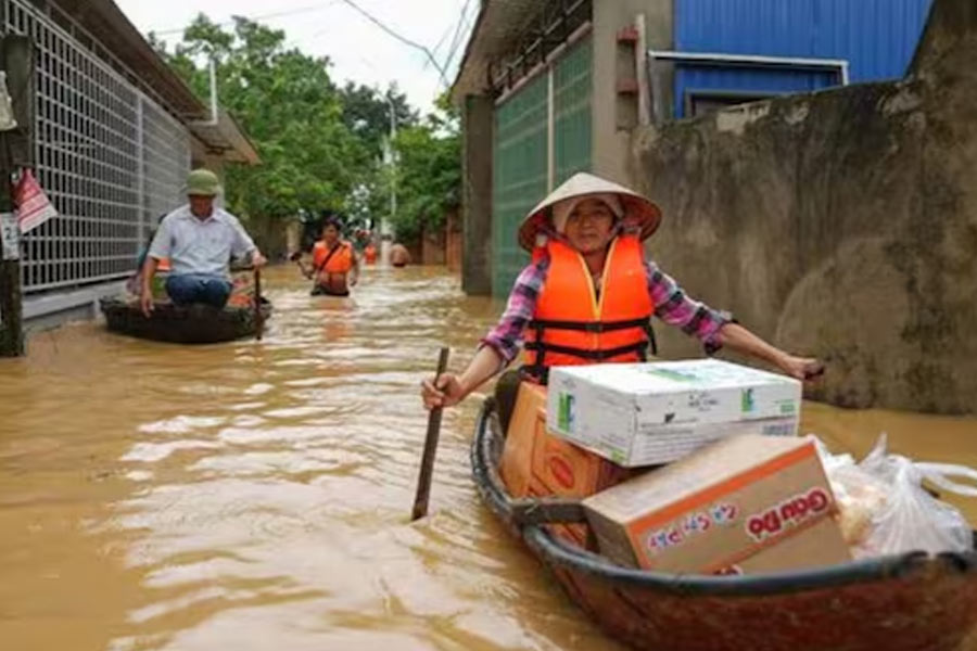 Thailand farmer kills more than hundred critically endangered Crocodile after Typhoon Yagi hit