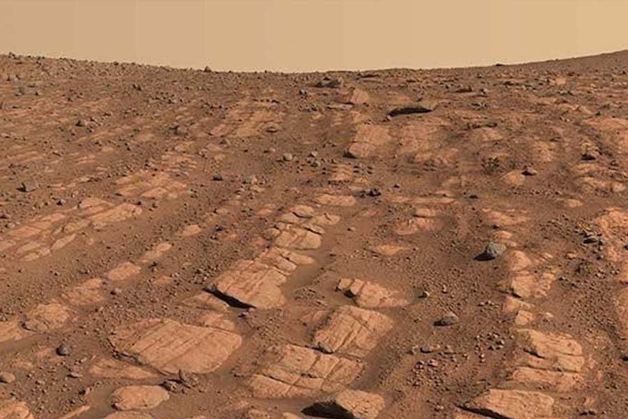 Biologist warns that humans could turn green while living on mars 