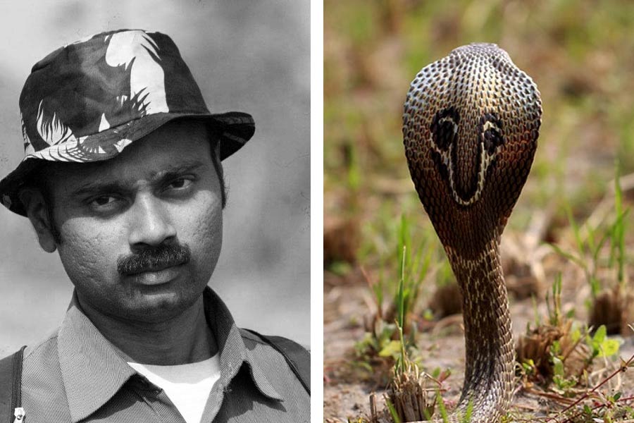 A Snake Catcher from Deulpur of Howrah dies after cobra bites him dgtld