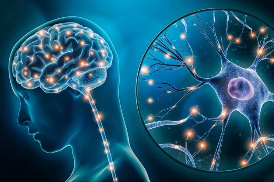 Decision-making process begins before a person is able to realize it 