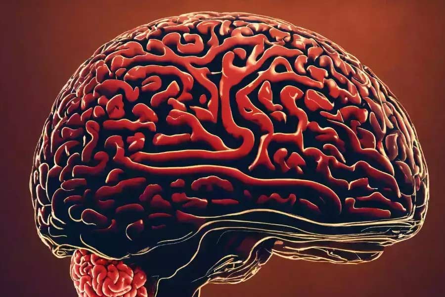 Decision-making process begins before a person is able to realize it 