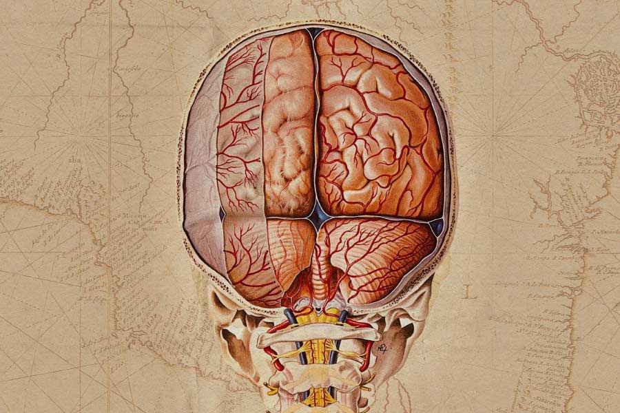 Decision-making process begins before a person is able to realize it 