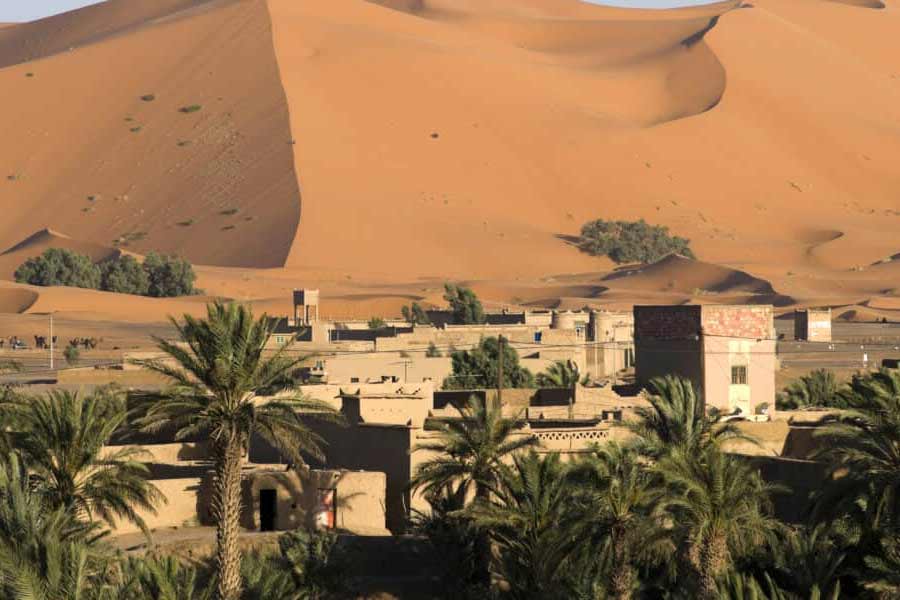 More vegetation than normal is growing in the Sahara Desert 