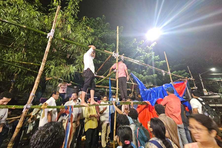 মঞ্চ বাঁধছেন জুনিয়র ডাক্তারেরা।