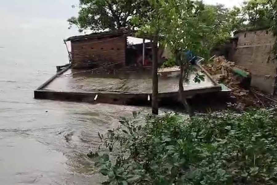 শিকদারপুরে নতুন করে শুরু হয়েছে ভাঙন।