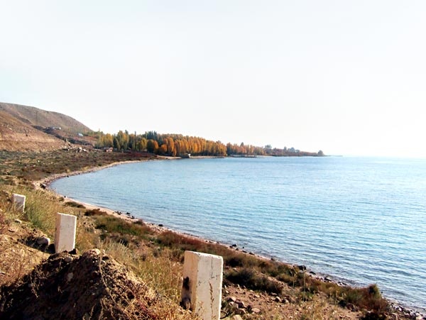 বিশকেক থেকে ইসিক কুল পৌঁছোনের রাস্তা দুটো। বাস এবং ট্রেন। ট্রেন যাত্রা নিঃসন্দেহে দুর্দান্ত। কিন্তু একটু ভিড় এবং গরমে কষ্ট হতে পারে। হালে বেশ কিছু দামি ট্রেন চলছে এই পথে। কিন্তু সেগুলোর ভাড়া বেশ বেশি। তবে বাসও না, ট্রেনও না, ইসিক কুল পৌঁছোনোর সেরা রাস্তা গাড়ি। তার কারণ বুরানা টাওয়ার। এই টাওয়ার দেখে তবে ইসিক কুলের কাছের শহর বালিকচি-তে পৌঁছোনো যায়। বিশকেক থেকে গাড়ি ঘণ্টা খানেকে পৌঁছে দেবে বুরানায়। কিরগিজস্তানের প্রাচীন শহর, এখন ধ্বংস হয়ে যাওয়া বালাসাগুনের শেষ চিহ্ন এই বুরানা টাওয়ার। পিছনে বরফ ঢাকা পাহাড়। আর টাওয়ারের পায়ের কাছে কবরস্থান। দৃশ্যটা যে কোনও পর্যটককে অন্য এক সময়ে পৌঁছে দেয়।