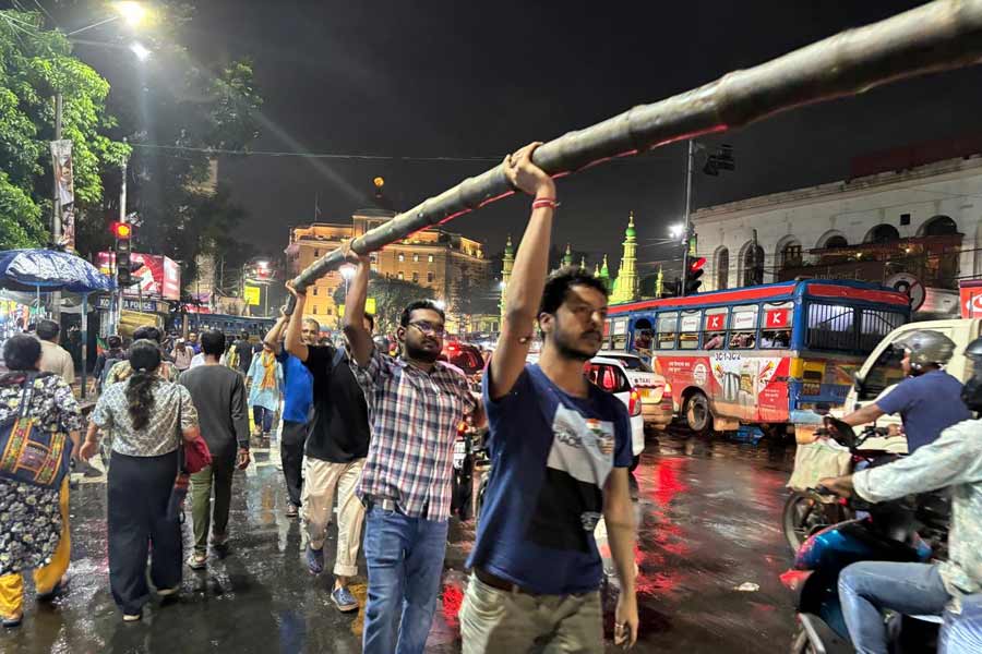 জুনিয়র ডাক্তারেরা বাঁশ বয়ে আনছেন।