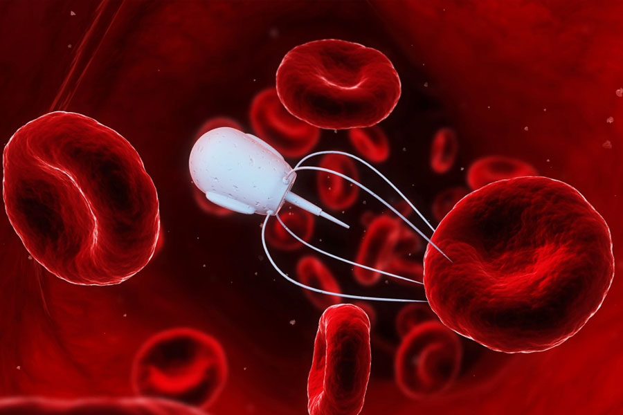 Researchers have developed Nano robots that kill cancer cells