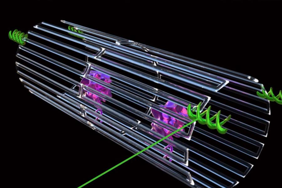 Researchers have developed Nano robots that kill cancer cells