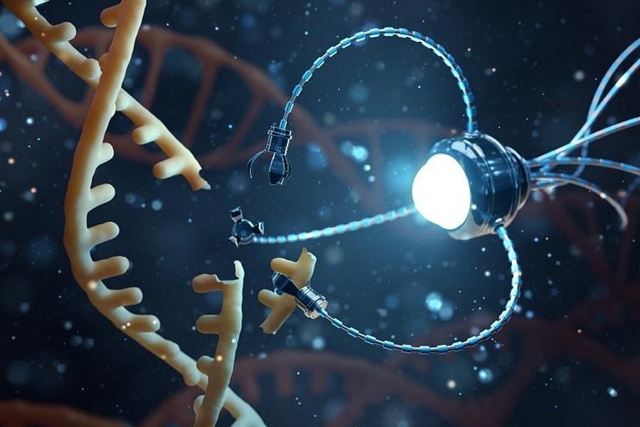 Researchers have developed Nano robots that kill cancer cells