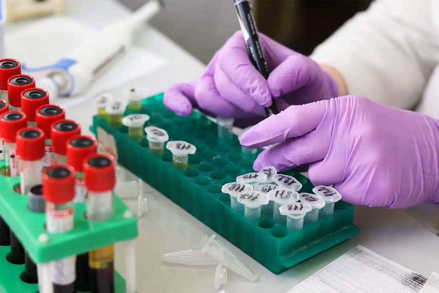 Researchers have developed Nano robots that kill cancer cells