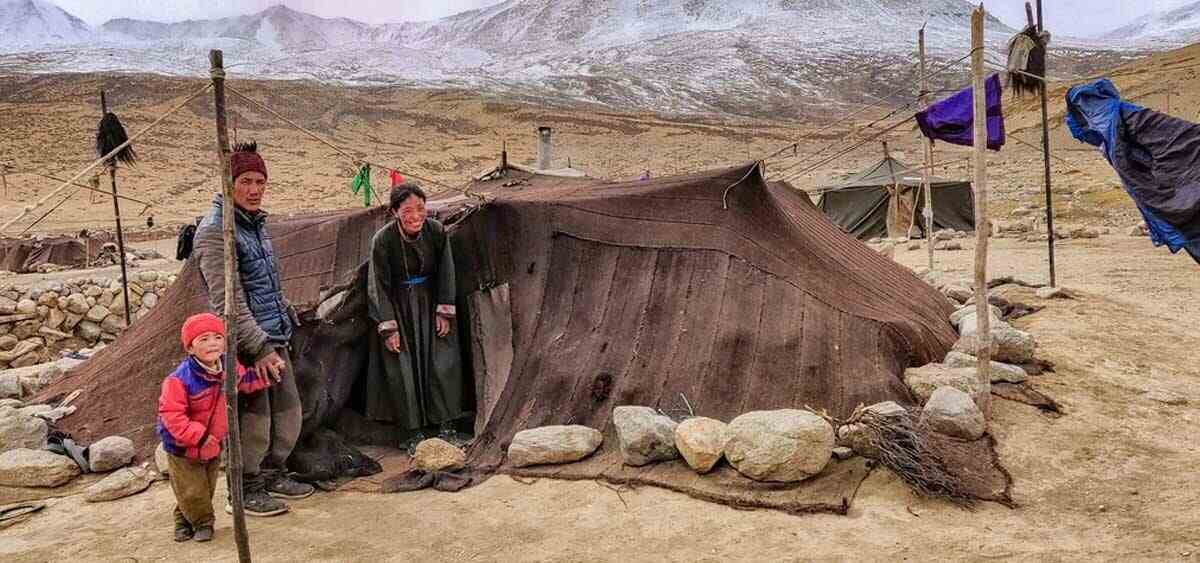  ইচ্ছে। ইচ্ছেকে বড় গুরুত্ব দেন এই জনগোষ্ঠীর মানুষগুলি। ইচ্ছে হয়নি বলেই, কোনও দিন মরুভূমি, জনহীনপ্রান্ত ছেড়ে শহরে হাজির হননি। এখনও হিন্দি তো দুরঅস্ত, লাদাখি ভাষাও জানেন না তাঁরা। কথা বলেন চাংসখাট ভাষায়। তিব্বতি ভাষারই এক ডায়ালেক্ট এই চাংসখাট। তবে শুধু চাংপা নন, এখানকার বাসিন্দা ফালপারাও।