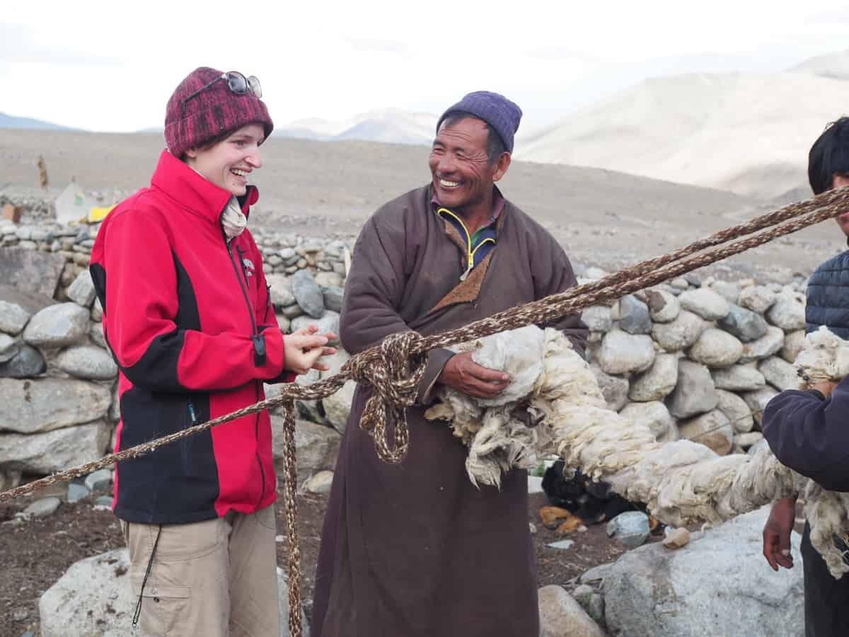  অনেক চাংপাই এখন আর পশুপালন করেন না। তাঁরা লাতো গ্রামের পাকা বাসিন্দা। চাষবাস করেন। সেখানেই গবাদি পশু পোষেন। তাঁরা নিজেদের চাংপা বলে ডাকেন। আর যাঁরা এখনও এই চাংথাংয়ের বালিপথে ঘুরে বেড়ান, তাঁবু ফেলেন, আবার তাঁবু উঠিয়ে চলে যান অন্যত্র— তাঁরা নিজেদের বলেন ফালপা। ভেঁড়া পালনই তাঁদের প্রধান জীবিকা। তবে সেই ভেঁড়ার মাংস তাঁরা খান না। ভেঁড়া পালন করেন পশম সংগ্রহের জন্য। এই যে এত দামি পশমিনা, তা সংগ্রহ করেন এই ফালপারাই। তাঁদের ভেঁড়ার গলার লোমই হাতঘুরে চলে যায় শহরে, যেখানে এখন পর্যটকদের ভিড়।