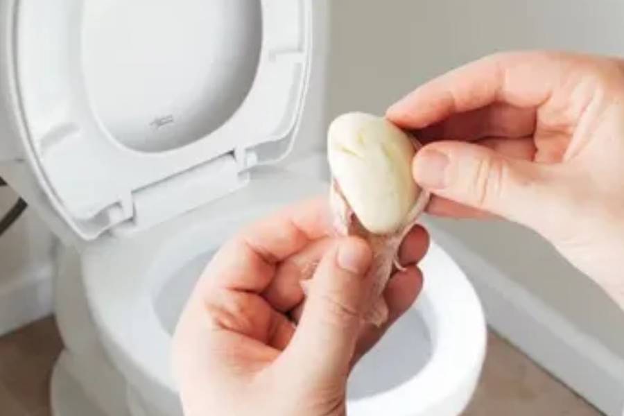 যেই সময়ে বাথরুম সবচেয়ে কম ব্যবহার করা হয়, অর্থাৎ রাতে, এক কোয়া রসুন হাতে চিপে কমোডের মধ্যে ফেলে দিন। সকালে ঘুম থেকে উঠে কমোডে ফ্লাশ করুন।