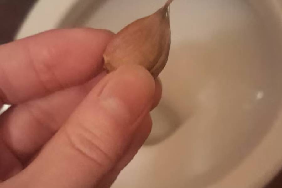 নিজেই দেখতে পাবেন, সারা রাত রসুনের রসে কমোড ঝকঝকে হয়ে গিয়েছে। কী ভাবে এই ম্যাজিক ঘটল জানেন?