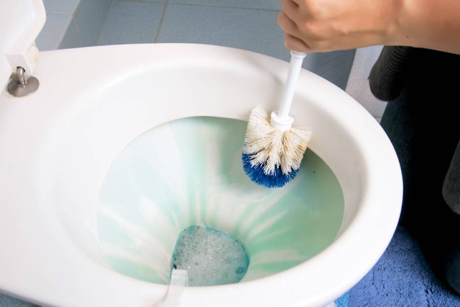 আর সারা রাত কমোডের ভিতরে রসুনের রস থাকার ফলে, তাতে থাকা যাবতীয় ব্যাকটেরিয়াকে মেরে ফেলে এই অ্যালিসিন। এই পদ্ধতি স্বাস্থ্যকর এবং কার্যকরী।