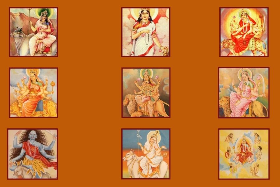 নবপত্রিকা বা গাছকে দেবী দুর্গার ৯টি রূপ হিসাবে পুজো করা হয়। এই ৯টি গাছ যথাক্রমে রম্ভাধিষ্ঠাত্রী ব্রহ্মাণী, কচ্বাধিষ্ঠাত্রী কালিকা, হরিদ্রাধিষ্ঠাত্রী উমা, জয়ন্ত্যাধিষ্ঠাত্রী কার্তিকী, বিল্বাধিষ্ঠাত্রী শিবা, দাড়িম্বাধিষ্ঠাত্রী রক্তদন্তিকা, অশোকাধিষ্ঠাত্রী শোকরহিতা, মানাধিষ্ঠাত্রী চামুণ্ডা ও ধান্যাধিষ্ঠাত্রী লক্ষ্মী।