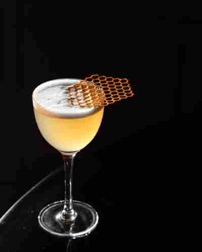 টেলস অফ ম্যানগ্রোভ।