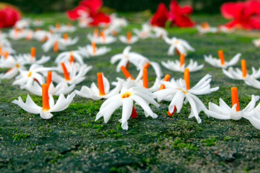 শিউলি ফুল: এই ফুলের আগমনই দুর্গাপুজোর আগমনী বার্তা দেয়, দেবী দুর্গার সবথেকে পছন্দের ফুল এটি। শিউলি ফুল ছাড়া দুর্গাপুজো অসম্পূর্ণ। সপ্তমী অষ্টমী প্রত্যেক পুজোর অঞ্জলিতেই এই ফুল দরকার। মায়ের চরণে এই ফুল অর্পণ করলে সব মনের ইচ্ছা পূরণ হয়।   