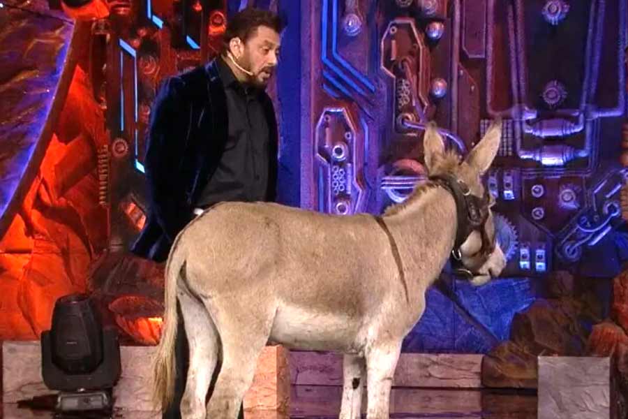 PETA calls use of donkey on Bigg Boss 18 and asks Salman Khan to avoid using animals as props