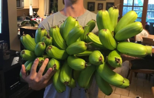 রোজকার জীবনে, ধর্মাচারে তাই ঢুকে পড়েছে কাঁদি কাঁদি কলা। কিন্তু এখানে এমন এক কলার কথা বলা রইল, যার কাঁদির দরকার নেই, এক পিসই প্রসাদের থালা ভরিয়ে দেওয়ার জন্য যথেষ্ট। এই কলার নাম হুয়া মোয়া।