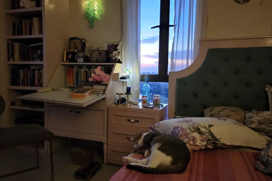 পোষ্য সারমেয়দের নিয়ে দিব্যি দিন কাটে অভিনেত্রীর। বিছানা-বালিশ সব কিছুর অধিকার তাদেরই। 