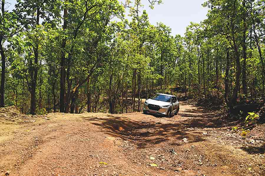 বাঁকুড়ায় সুতানের জঙ্গল।