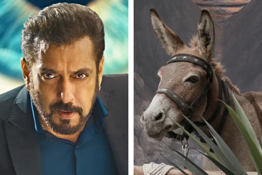 Animal activists slammed Salman Khan\\\\\\\\\\\\\\\\\\\\\\\\\\\\\\\\\\\\\\\\\\\\\\\\\\\\\\\\\\\\\\\'s Bigg boss for keeping a donkey