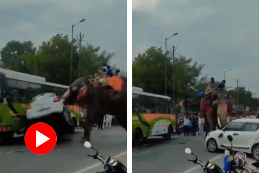 Elephant aggressively attacks Car like toy, video goes viral