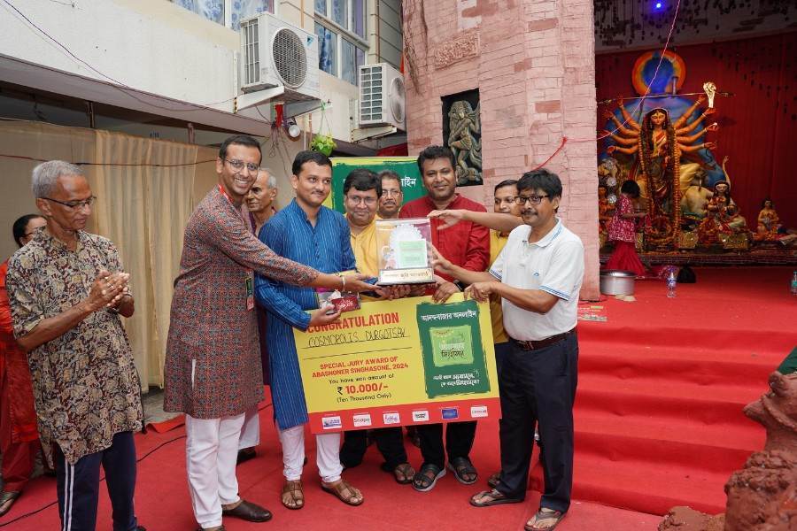 স্পেশাল জুরি অ্যাওয়ার্ড - কসমোপলিস দুর্গোৎসব