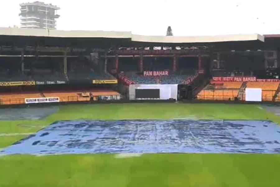 Bengaluru Pitch